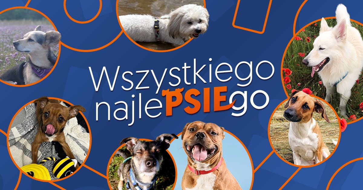 Gry i dodatki dla psiarzy